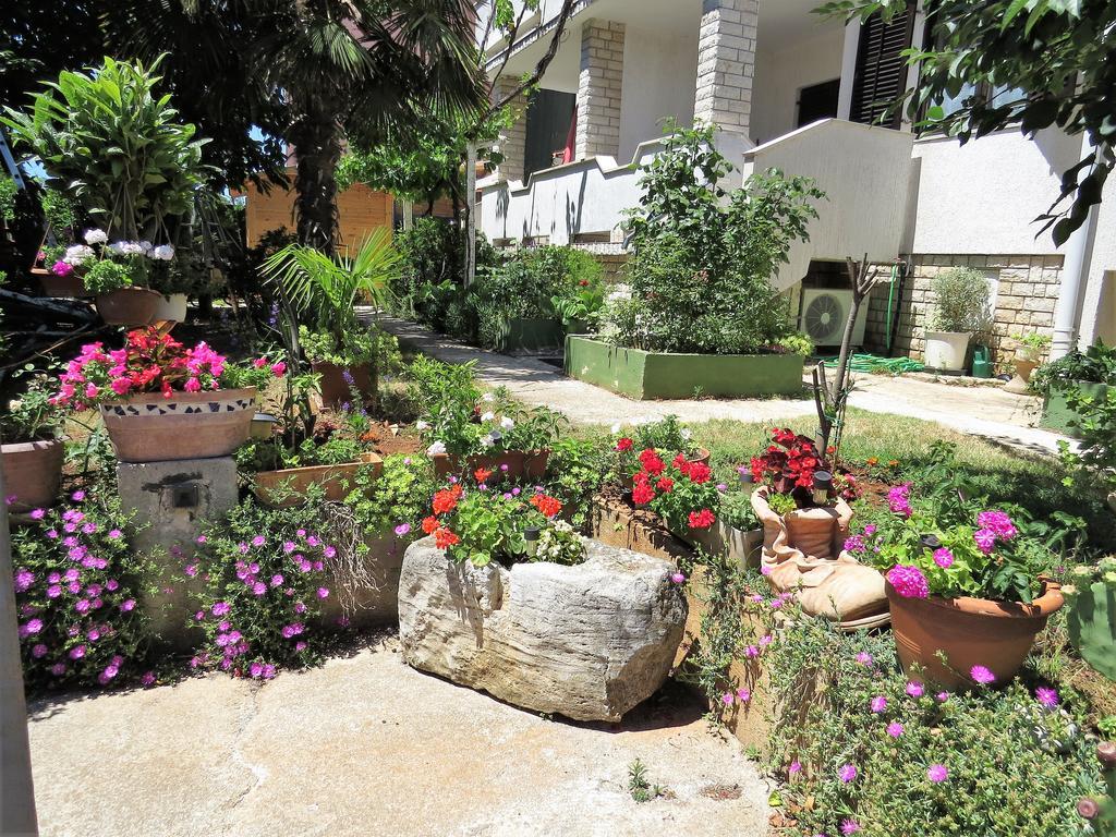מדולין Apartments Mira מראה חיצוני תמונה